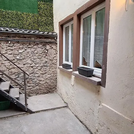 Apartman Le Nid De La Cigogne Sainte-Marie-aux-Mines